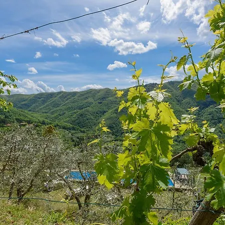 Villa L'intento Londa